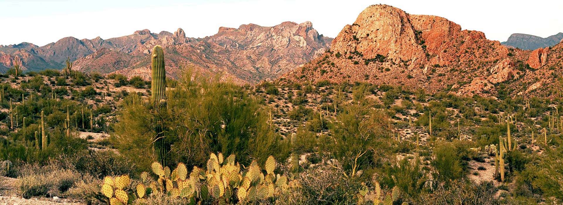 Coues Deer Hunts