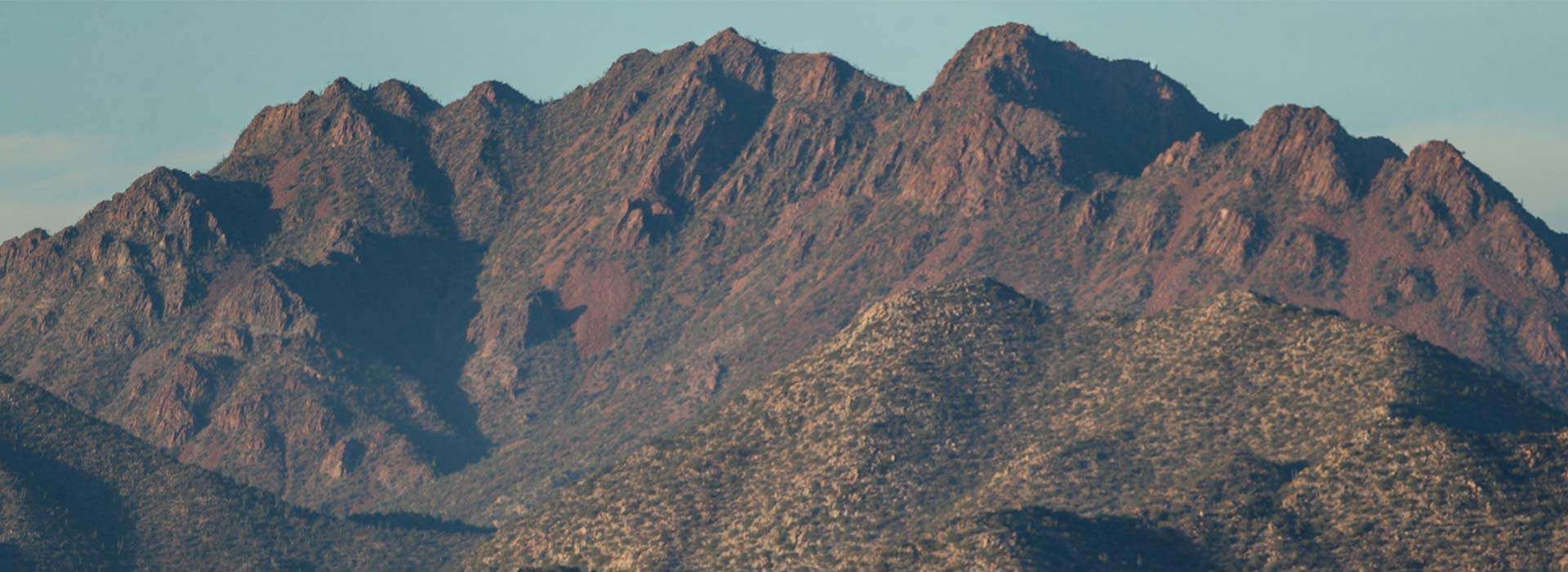 Bighorn Desert Sheep Hunts in Mexico