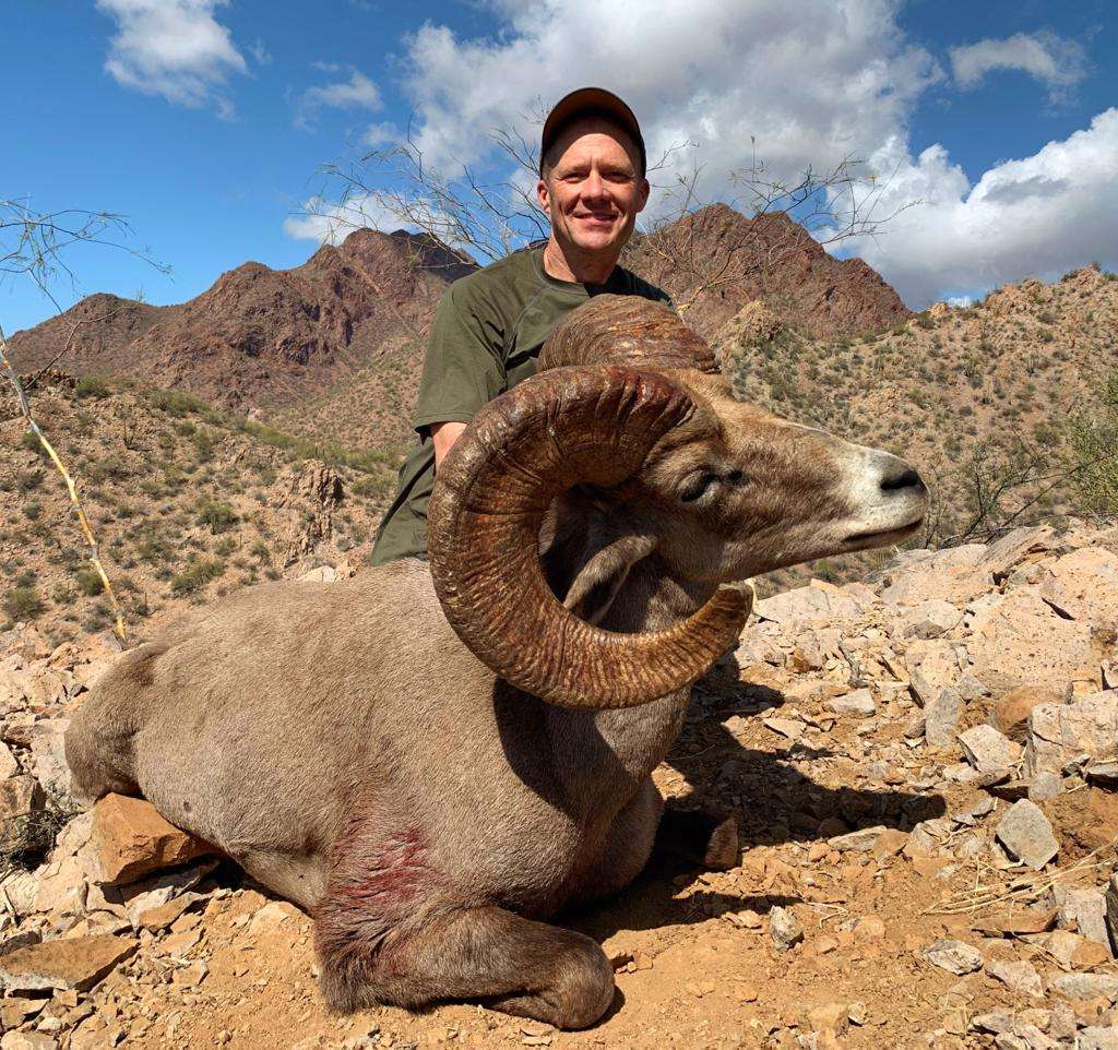 Bighorn Sheep Hunting Expectations