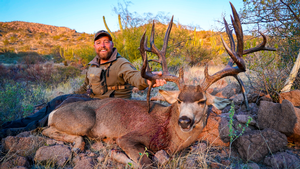 Sheldoni Mule Deer